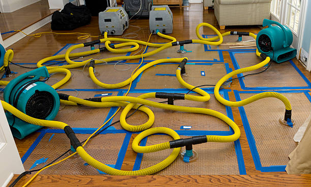 Professional Sewage Cleanup technician working in Geneva, MN